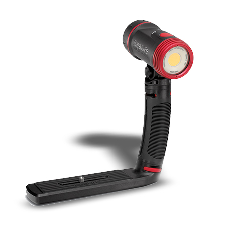 SEA DRAGON 2500 כולל מגש וזרוע