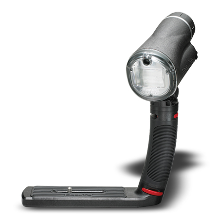 Sea Dragon - פלאש דיגיטלי