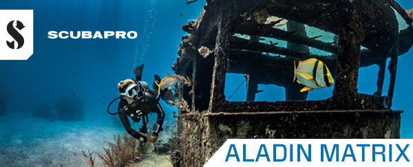 מחשבי Aladin Matrix