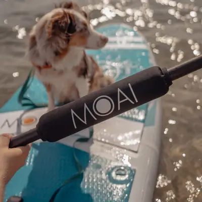 MOAI Paddle Floater - מצוף, ברקע כלב על סאפ