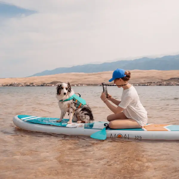 MOAI SUP Deckpad for Dogs – תמונה 2