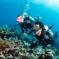 Everflex Yulex Dive Steamer - צוללים בחליפות שחורות שוחים מעל שונית אלמוגים במים כחולים צלולים