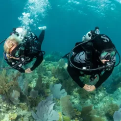 Everflex Yulex Dive Steamer - שני צוללים שוחים מעל שונית אלמוגים בציוד צלילה מלא, עם בועות אוויר עולות