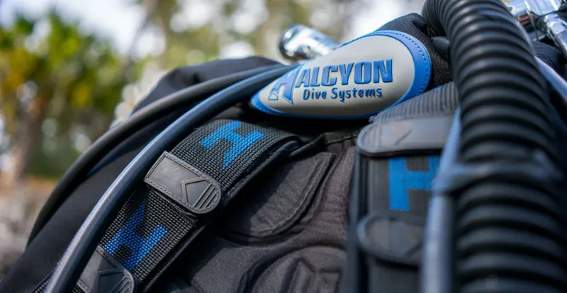 תקריב של ריפודי הרתמה על מערכת Halcyon
