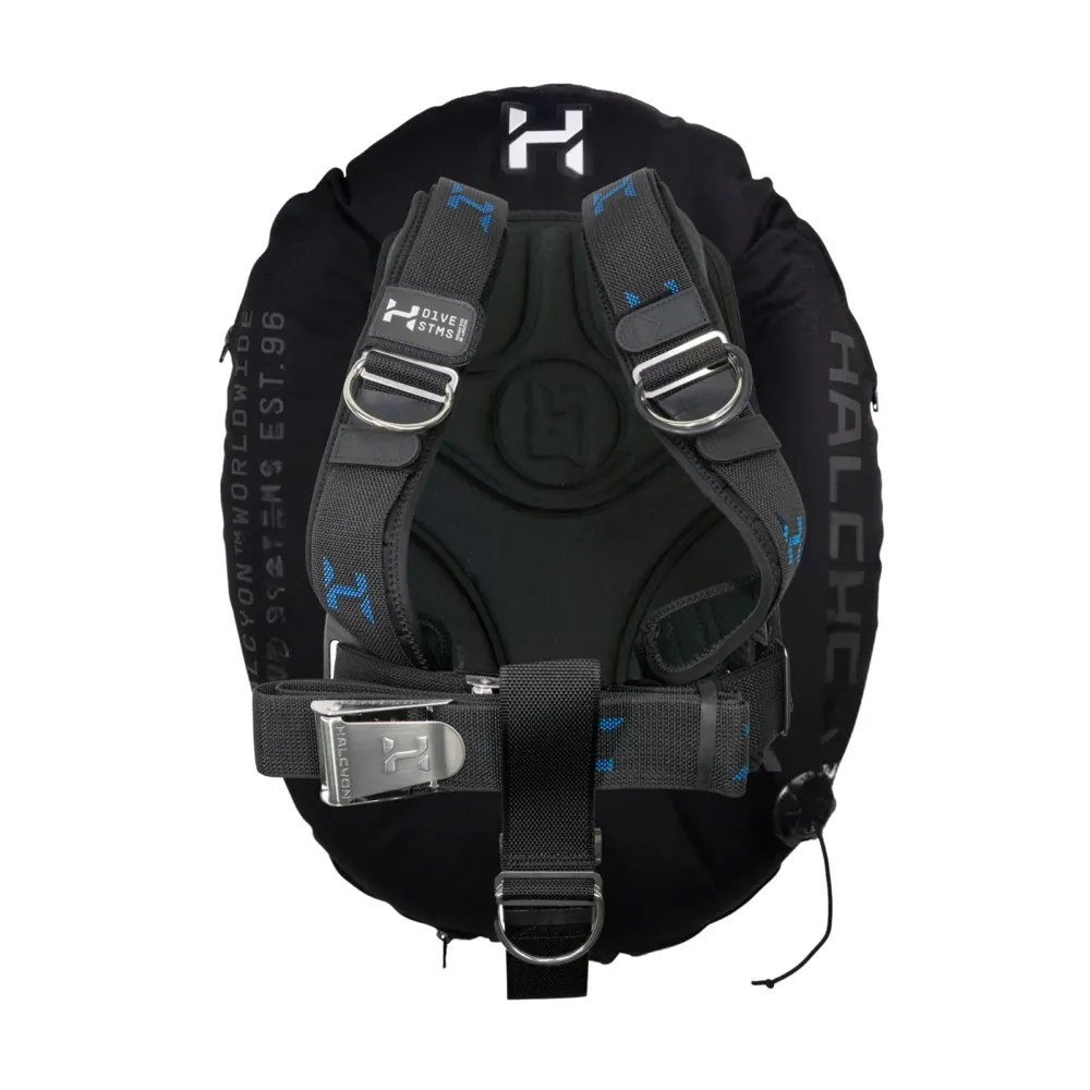מערכת מאזן כנף Halcyon Deluxe BC System במבט מאחור, עם כנף שחורה, בקפלייט מנירוסטה ורפידות דלוקס אפורות