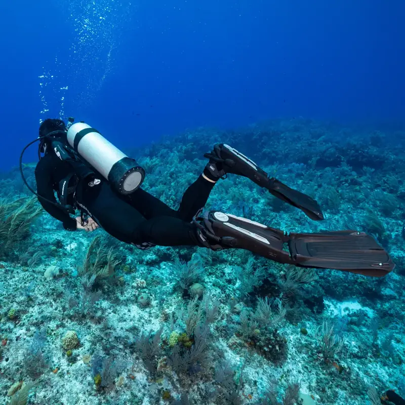 סנפיר Seawing Supernova בזמן שימוש